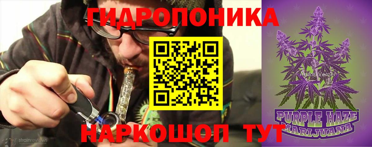 Бошки марихуана тримм  Вход с VPN  МАРИХУАНА ГИДРОПОН  Канабис сатива  Губкин 